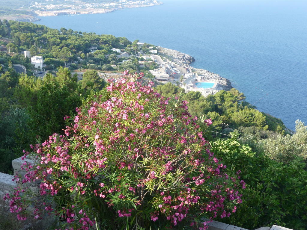 מלון Castro  Il Giardino מראה חיצוני תמונה